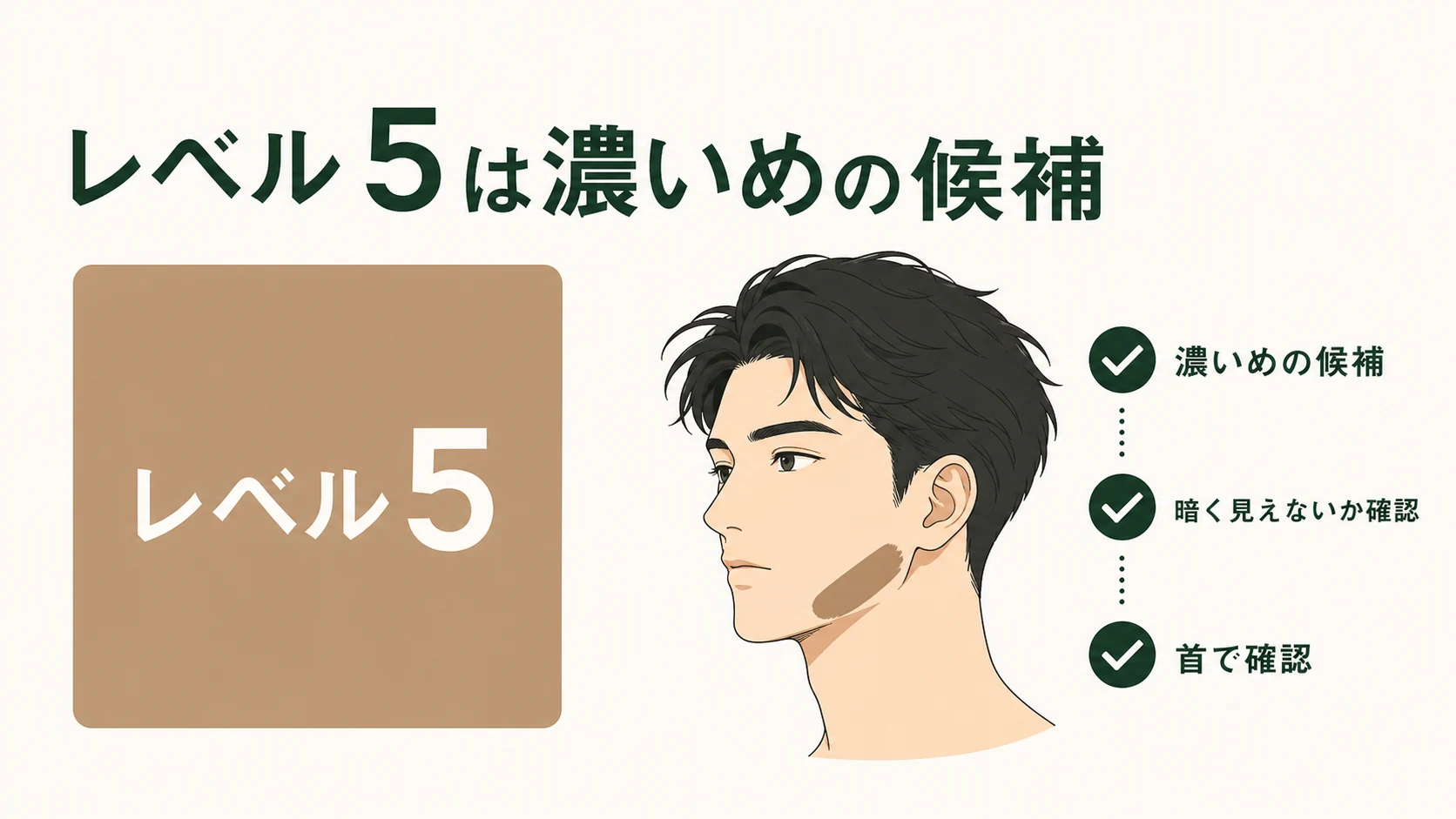 カラーレベル5が向きやすい肌色を整理した図解